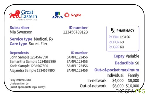 Carte d'assurance maladie de Singapour